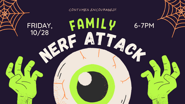 Family Nerf Attack