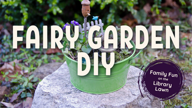 Fairy Garden DIY
