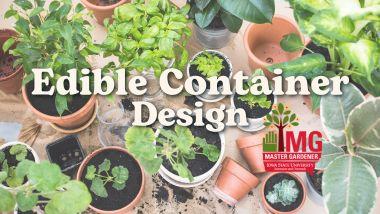 Edible Container Design
