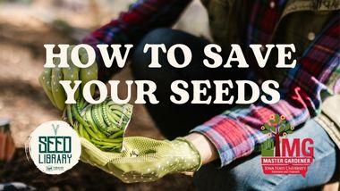 "How to save your seeds" A person wearing a red flannel, jeans, and gloves kneels outside, pouring a packet of green bean seeds into their hand. There is a Seed Library and Master Gardener logo.