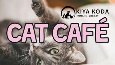 Cat Cafe