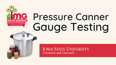 Pressure Canner Gauge Testing