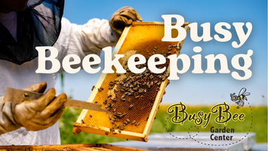 Busy Beekeeping with Busy Bee