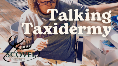 Talking Taxidermy