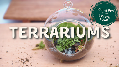 Terrarium