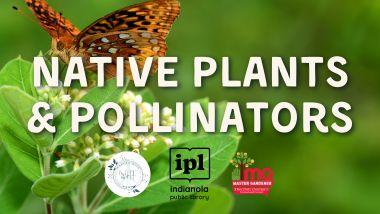 native plants & pollinators