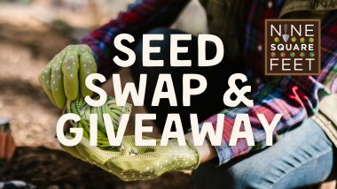 Seed Swap and Giveaway